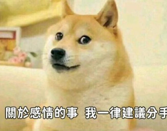汪星人征服地球！梗圖柴柴要蓋雕像了，未來還要蓋到月球去