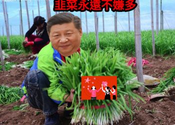 韭菜不再心慌慌！數位資產法規大躍進，還會有下一步嗎？-cover