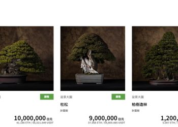 賣盆栽真的能賺錢！日本創業實境秀竟把腦筋打到 NFT 上？